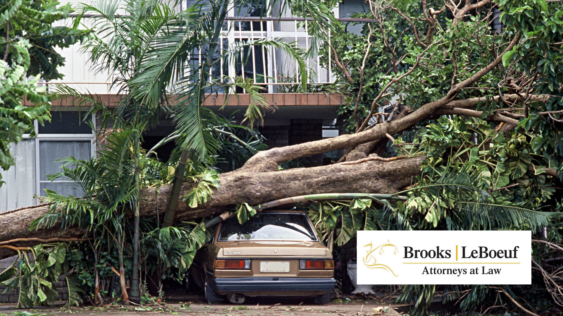 Why You Need a Hurricane Insurance Claim Attorney