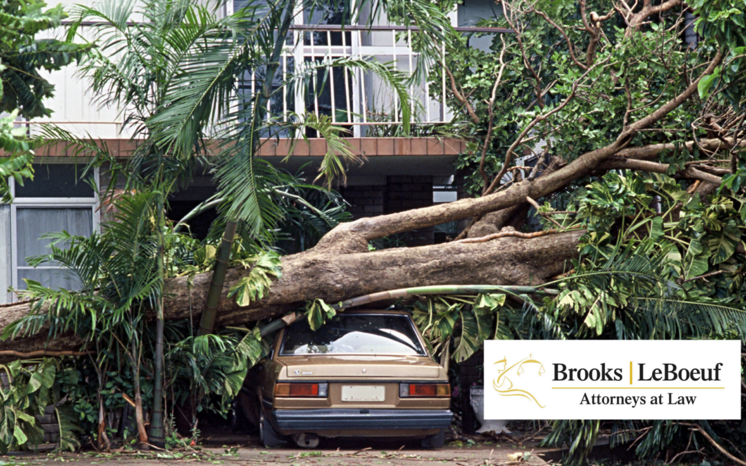 Why You Need a Hurricane Insurance Claim Attorney